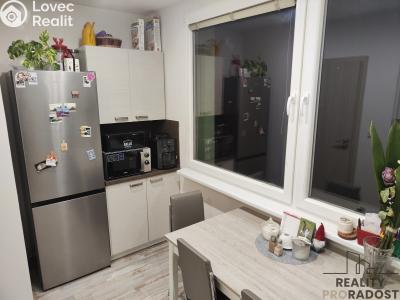 Pronájem bytu 2+1 Chomutov, Dřínovská č. 2