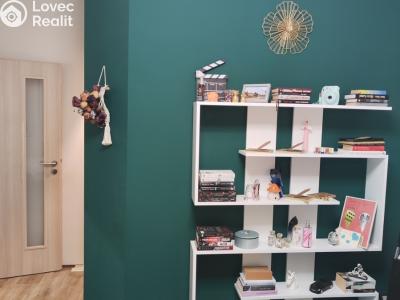 Pronájem bytu 2+1 Chomutov, Dřínovská č. 4