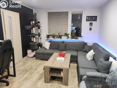 Оренда квартири 2+1 Chomutov, Dřínovská č. 5