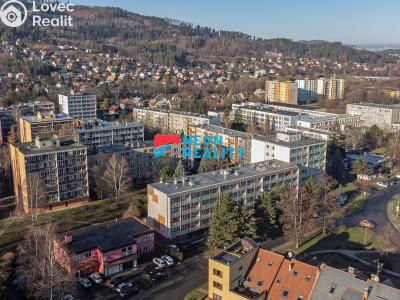 Prodej bytu 3+1 Frýdlant nad Ostravicí, Palackého č. 6