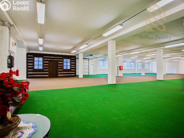 Pronájem obchodního prostoru Polepy č. 3