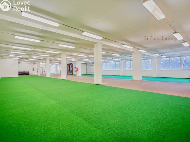 Pronájem obchodního prostoru Polepy č. 5