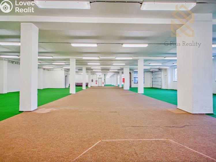 Pronájem obchodního prostoru Polepy č. 6