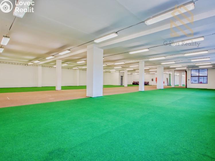 Pronájem obchodního prostoru Polepy č. 7