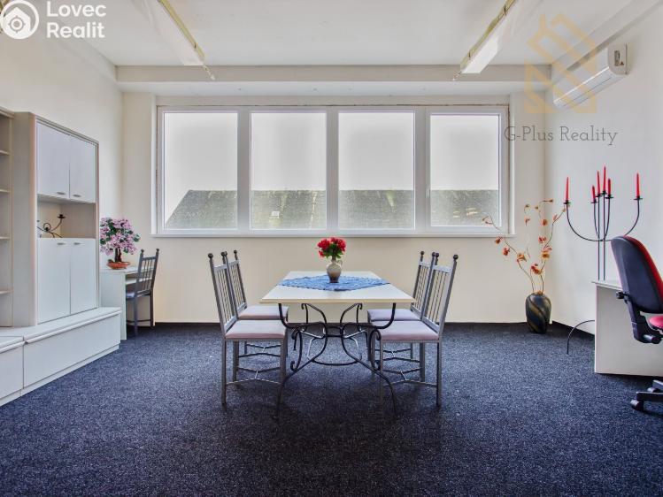 Pronájem obchodního prostoru Polepy č. 9