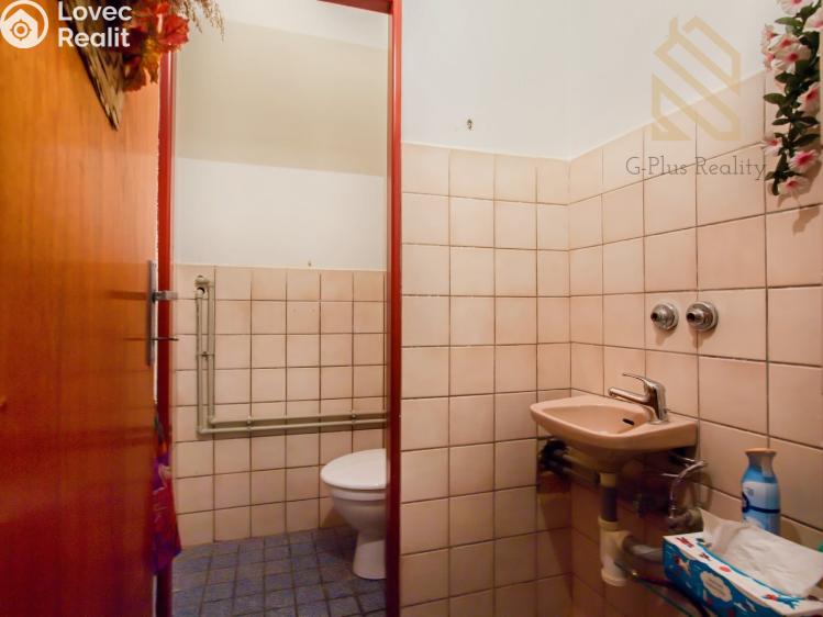 Pronájem obchodního prostoru Polepy č. 12