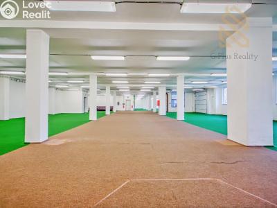 Pronájem obchodního prostoru Polepy č. 6