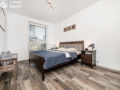 Продажа квартиры 2+KK Liberec, U Nisy č. 4