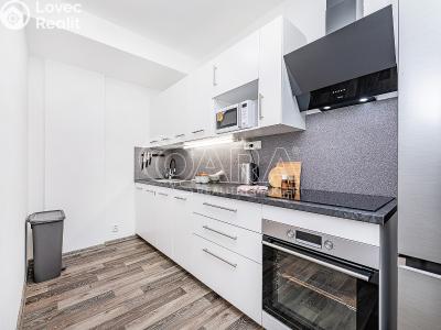 Продажа квартиры 2+KK Liberec, U Nisy č. 6