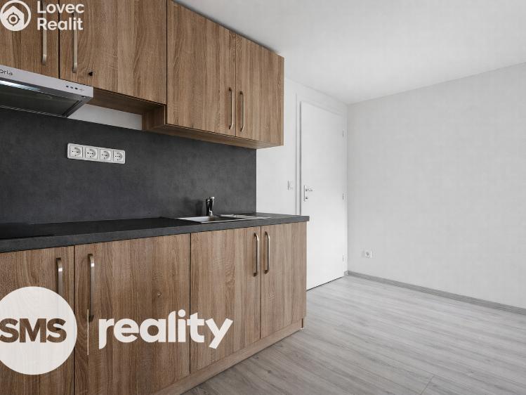 Pronájem bytu 1+KK Opava, Resslovo nábřeží 2776/3a č. 3