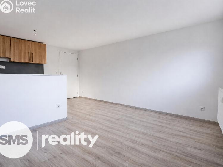 Pronájem bytu 1+KK Opava, Resslovo nábřeží 2776/3a č. 4