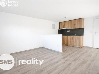 Pronájem bytu 1+KK Opava, Resslovo nábřeží č. 1