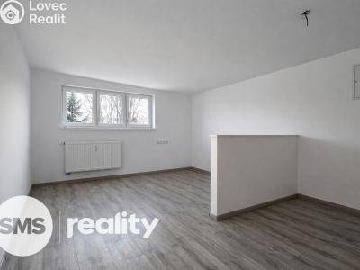 Pronájem bytu 1+KK Opava, Resslovo nábřeží č. 5