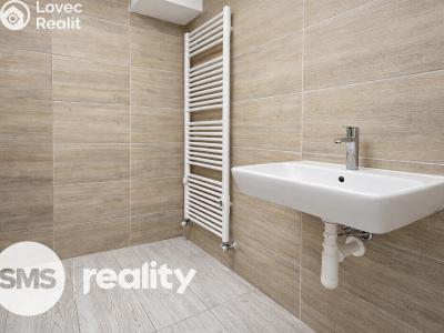 Pronájem bytu 1+KK Opava, Resslovo nábřeží č. 6