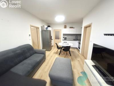 Аренда квартиры 3+KK České Budějovice, Na Zlaté stoce č. 1