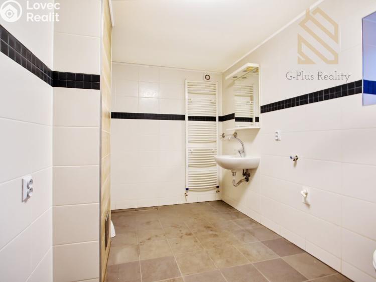 Sale multi-gen house Modlany č. 8