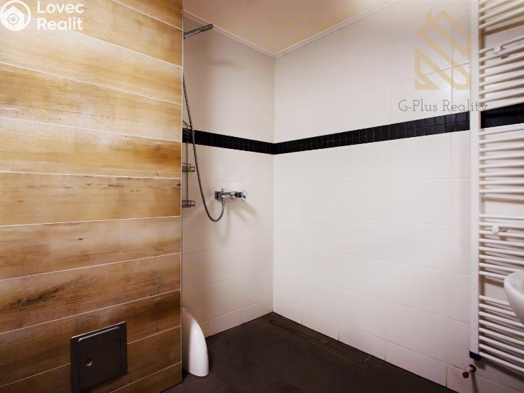 Sale multi-gen house Modlany č. 9