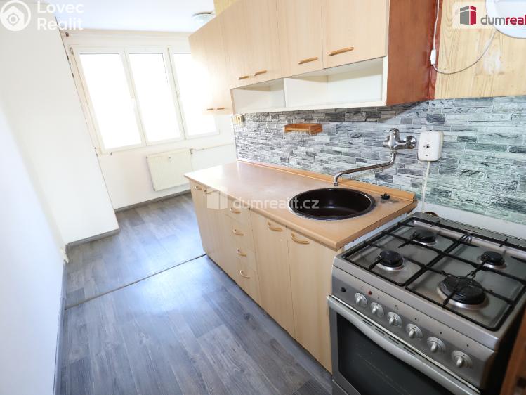 Pronájem bytu 2+1 Lázně Kynžvart, Dlouhá č. 1