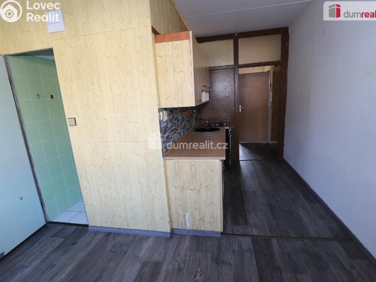 Pronájem bytu 2+1 Lázně Kynžvart, Dlouhá č. 8