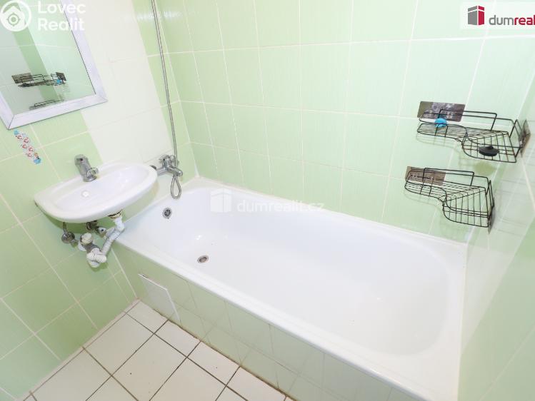 Pronájem bytu 2+1 Lázně Kynžvart, Dlouhá č. 10