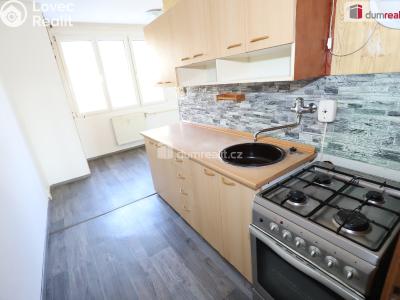 Pronájem bytu 2+1 Lázně Kynžvart, Dlouhá č. 1