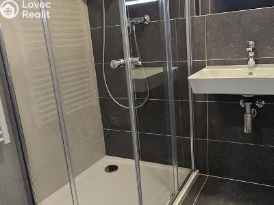 Аренда квартиры 3+KK Znojmo, Třešňová č. 5