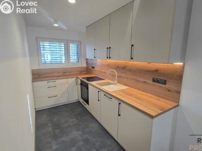 Pronájem bytu 3+KK Znojmo, Třešňová č. 1