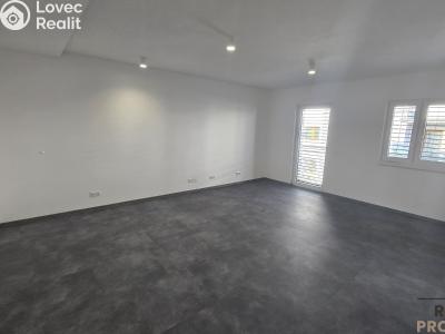 Pronájem bytu 3+KK Znojmo, Třešňová č. 2