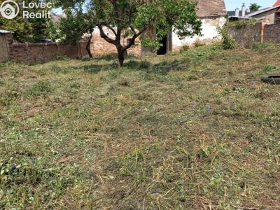 Prodej rodinného domu Šumice č. 5