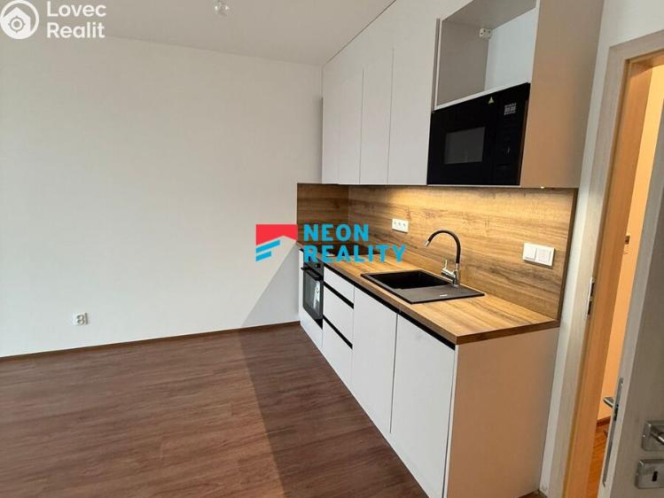 Pronájem bytu 1+KK Opava, Císařského pluku 3078/5 č. 3