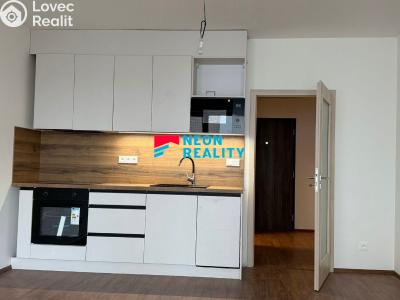 Pronájem bytu 1+KK Opava, Císařského pluku č. 1