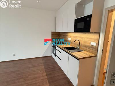 Pronájem bytu 1+KK Opava, Císařského pluku č. 3