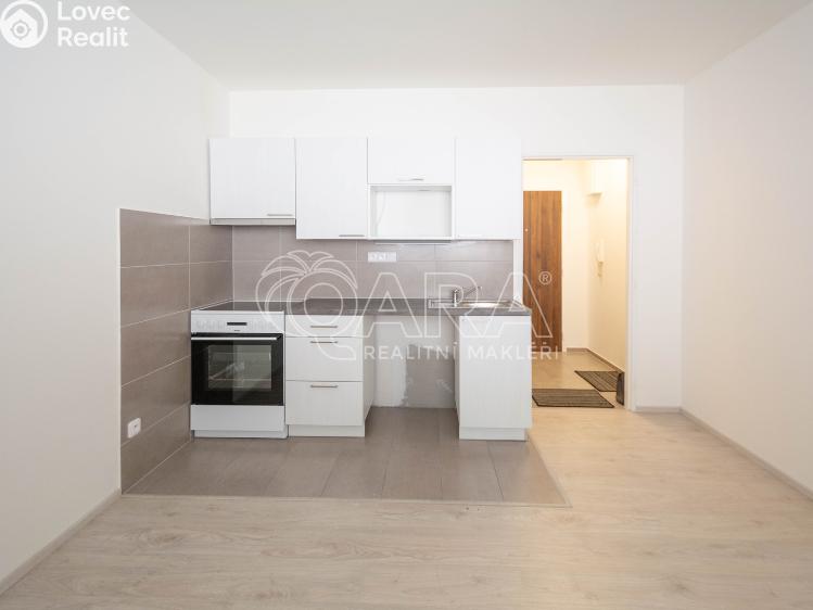 Rent apartment 1+1 Neratovice, Na Výsluní 1302 č. 1