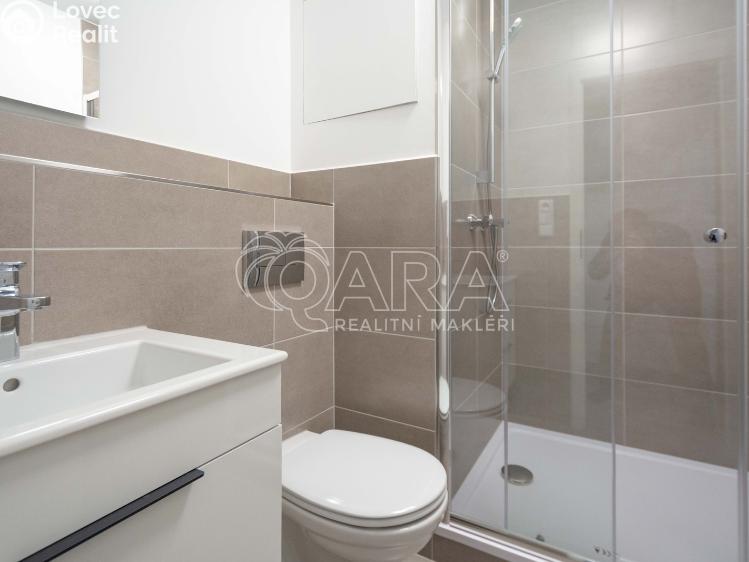 Rent apartment 1+1 Neratovice, Na Výsluní 1302 č. 3