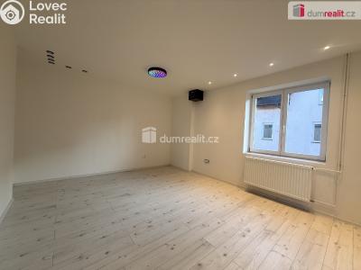 Pronájem bytu 1+1 Děčín, Úzká č. 3