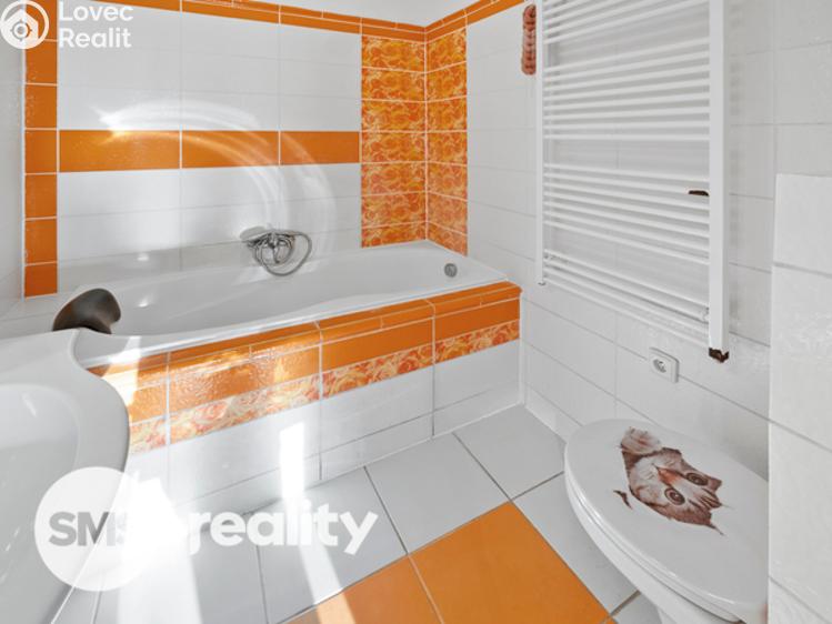 Pronájem bytu 2+1 Blansko, Absolonova 1606/23 č. 11