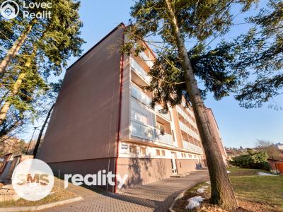 Pronájem bytu 2+1 Blansko, Absolonova č. 1