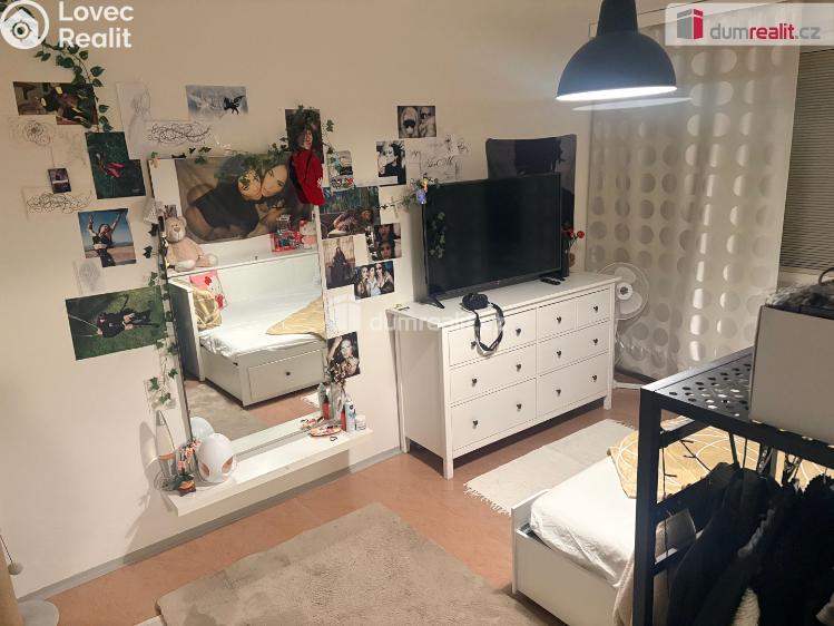 Rent apartment 1+1 Mikulov, Zd. Nejedlého č. 1