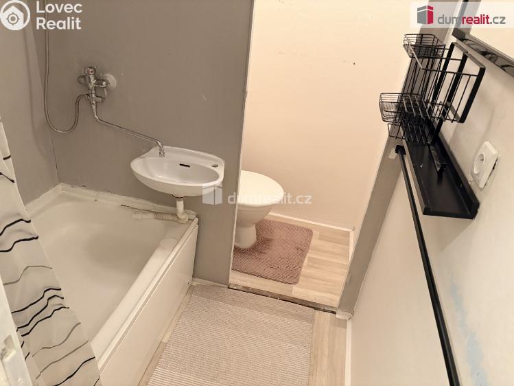 Rent apartment 1+1 Mikulov, Zd. Nejedlého č. 7