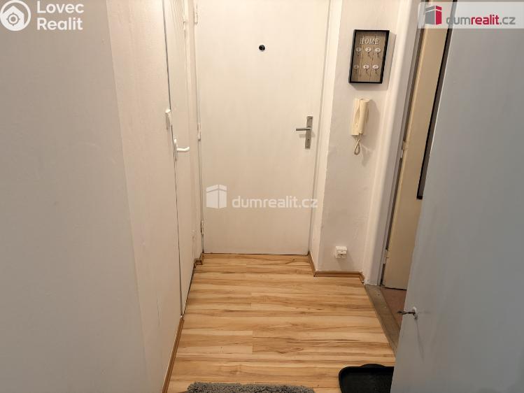 Rent apartment 1+1 Mikulov, Zd. Nejedlého č. 9