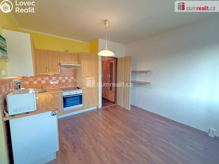 Pronájem bytu 1+1 Ústí nad Labem, Gagarinova č. 2