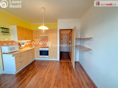 Pronájem bytu 1+1 Ústí nad Labem, Gagarinova č. 1