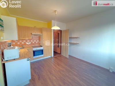 Pronájem bytu 1+1 Ústí nad Labem, Gagarinova č. 2