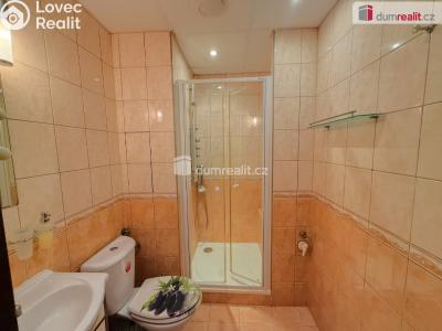 Pronájem bytu 1+1 Ústí nad Labem, Gagarinova č. 3