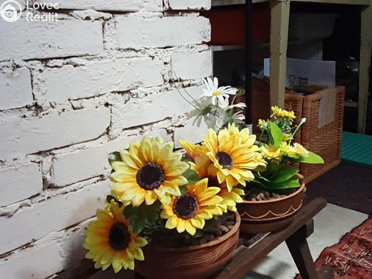 Prodej chalupy Hodkovice nad Mohelkou, Česká č. 23