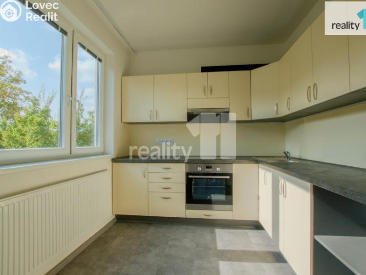 Pronájem bytu 2+1 Liberec, Skalní č. 1