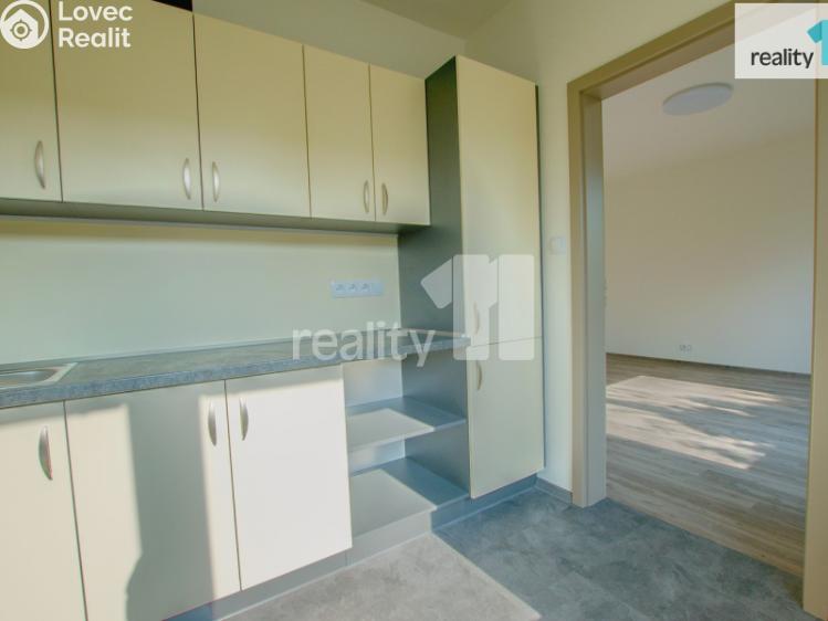 Pronájem bytu 2+1 Liberec, Skalní č. 3