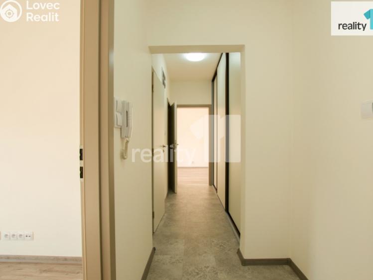 Pronájem bytu 2+1 Liberec, Skalní č. 7