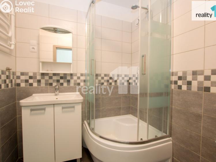 Pronájem bytu 2+1 Liberec, Skalní č. 9