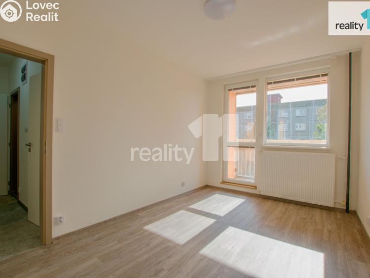 Pronájem bytu 2+1 Liberec, Skalní č. 11